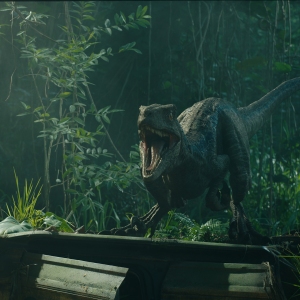 Regarder la vidéo Velociraptor Blue in Jurassic World: Fallen Kingdom