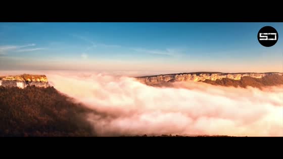 Time To Move - Steven Dagota